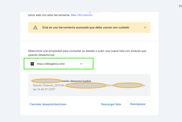 ¿Qué es y que uso se da a un archivo Disavow en pleno 2025?